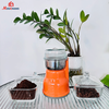 Hot Selling Mini Coffee Mill Nuts Spices Coffee Beans Electric Coffee Grinder