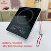 48V 1600W Solar Induction Cooker