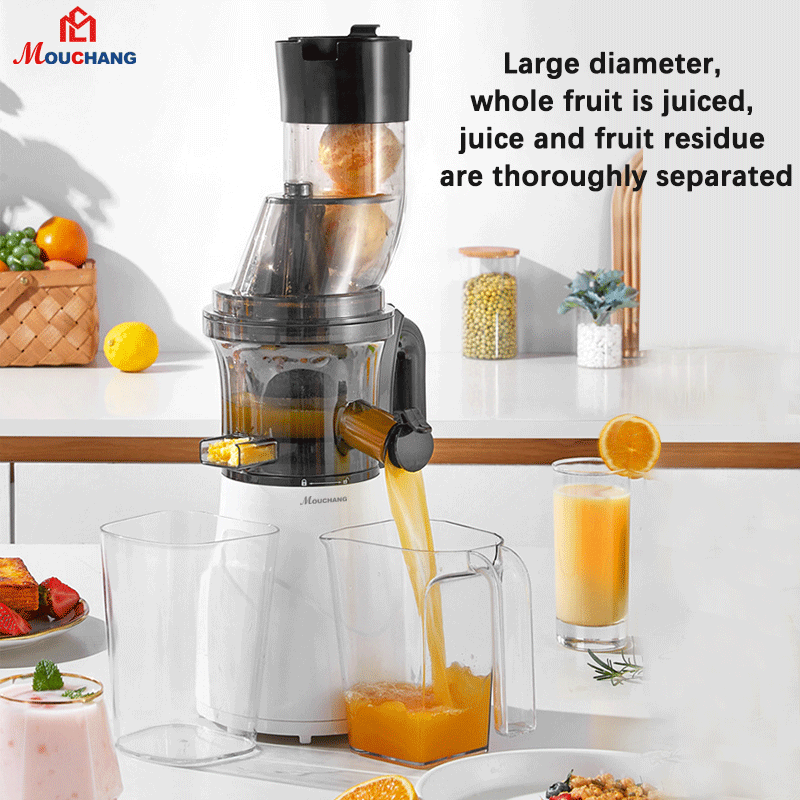 Cold Press Juicer Masticating Juice Extractor with Big Feed Mouth Powerful Slow Juicer