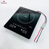 48V 1600W Solar Induction Cooker