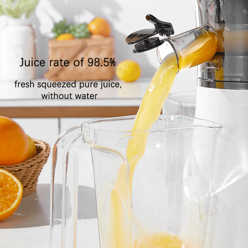 Cold Press Juicer Masticating Juice Extractor with Big Feed Mouth Powerful Slow Juicer