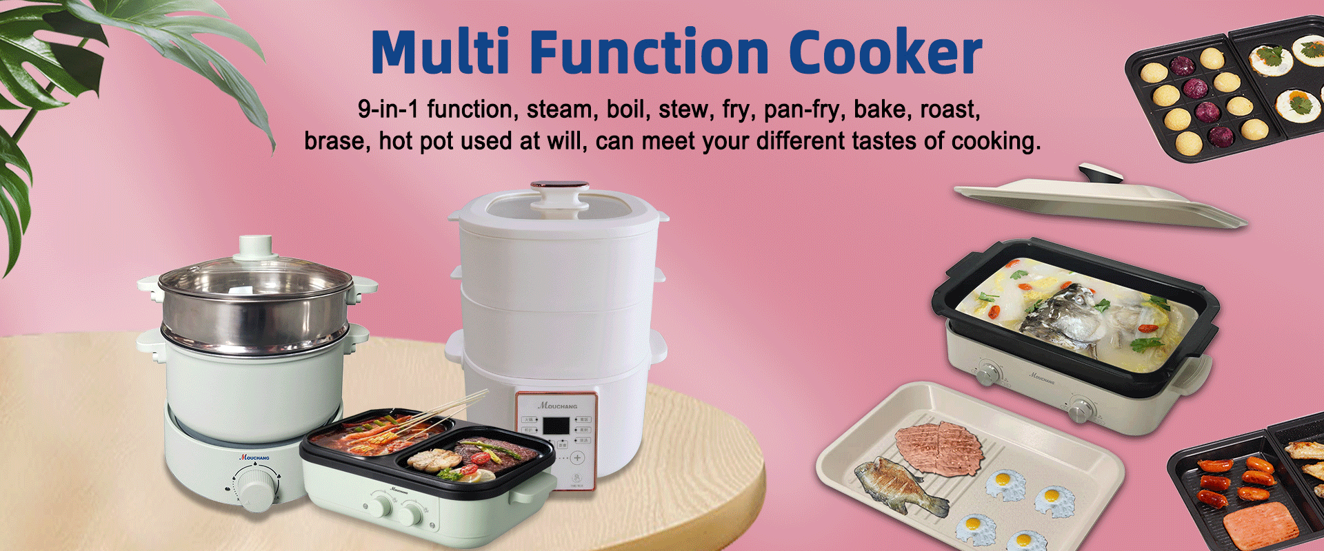  Multi-Function Cooker